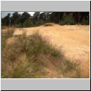 Halictus rubicundus - Furchenbiene 01 Habitat.jpg